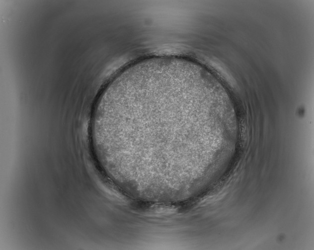 X0000100980491200807221237