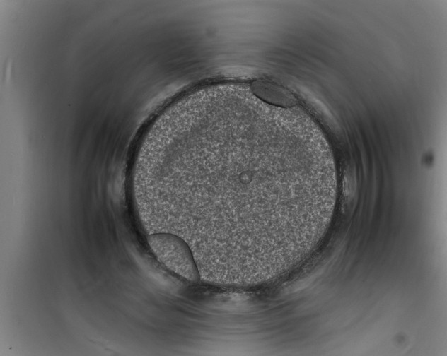 X0000100980492200807221237