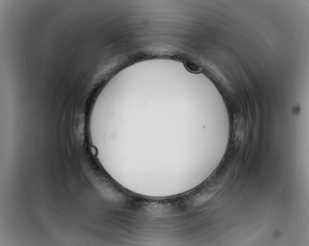 X0000100980494200807221237