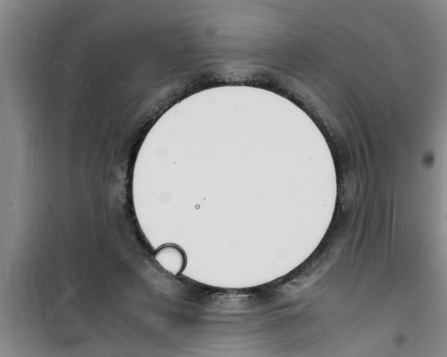 X0000100980497200807221237