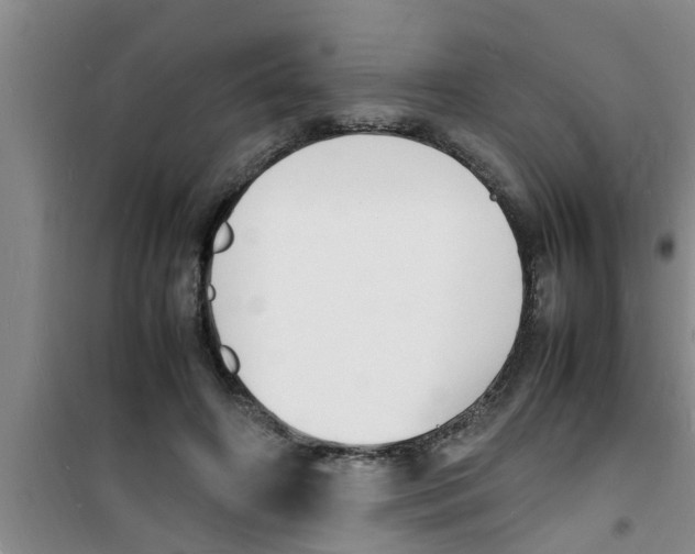 X0000100980498200807221237