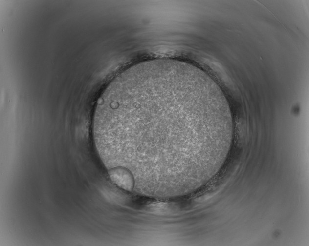 X0000100980499200807221237