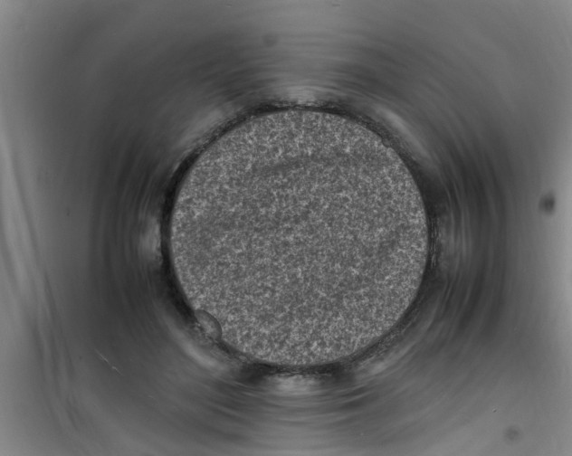 X0000100980500200807221236