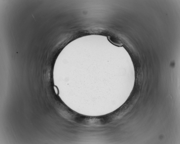 X0000100980501200807221236