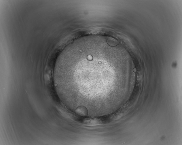 X0000100980503200807221236