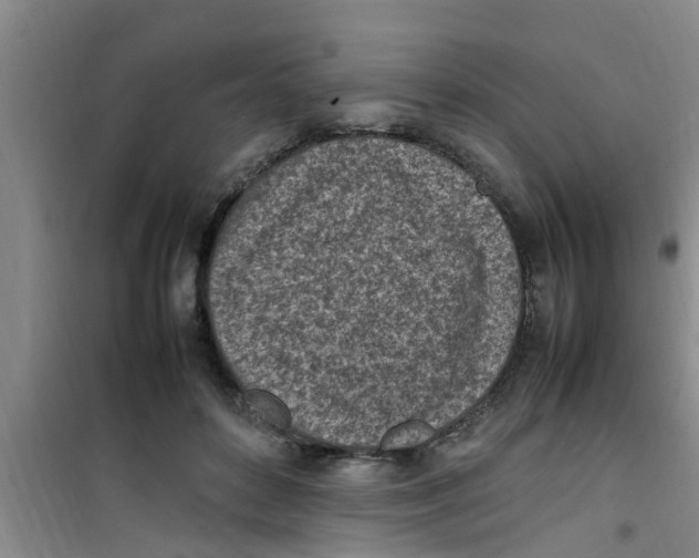 X0000100980504200807221236