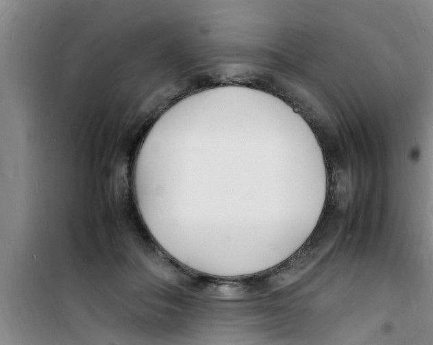 X0000100980506200807221236