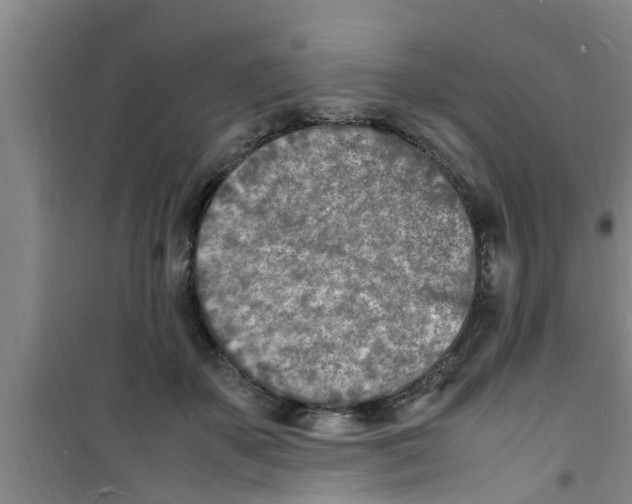 X0000100980507200807221236