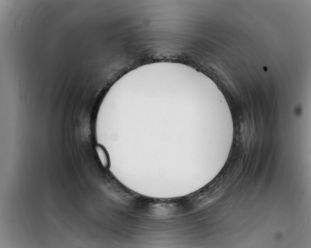 X0000100980508200807221236