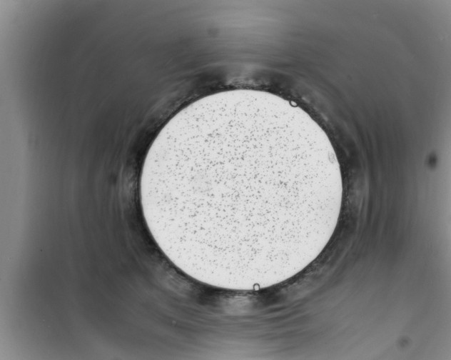 X0000100980513200807221236