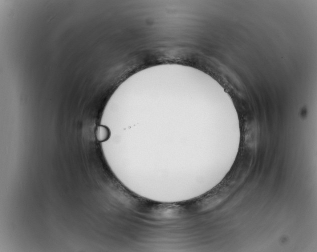 X0000100980514200807221236