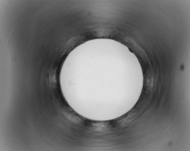 X0000100980516200807221236