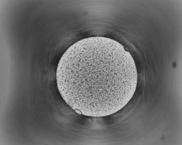 X0000100980517200807221236