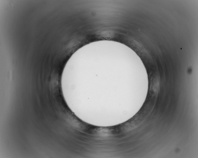 X0000100980518200807221236