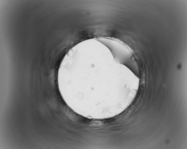 X0000100980519200807221236