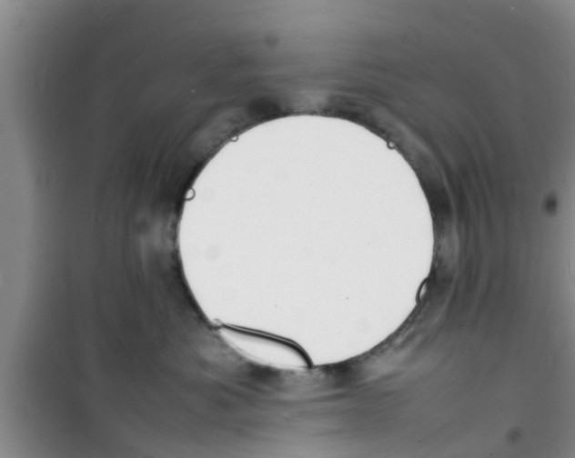 X0000100980525200807221236