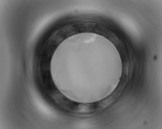 X0000100980526200807221236