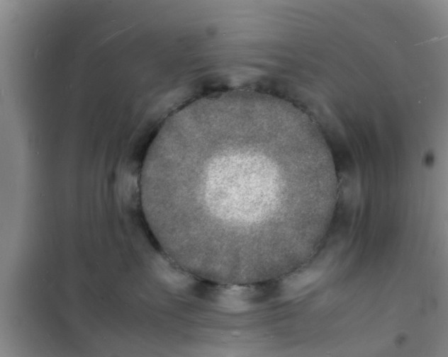 X0000100980527200807221236