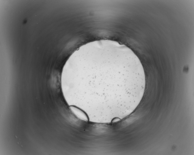 X0000100980528200807221236