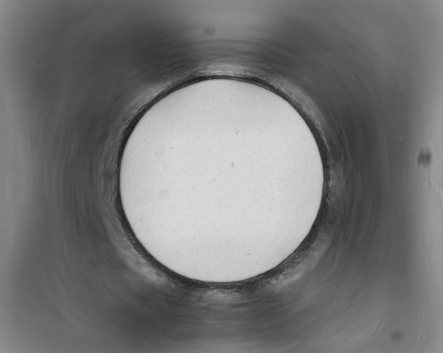 X0000100980529200807221235