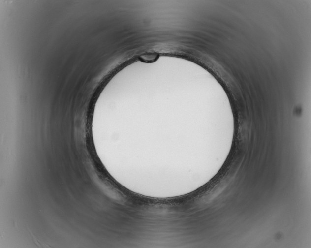 X0000100980530200807221235