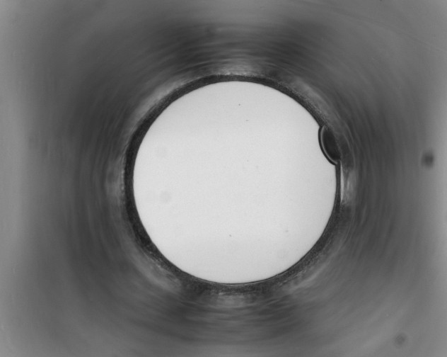 X0000100980531200807221235