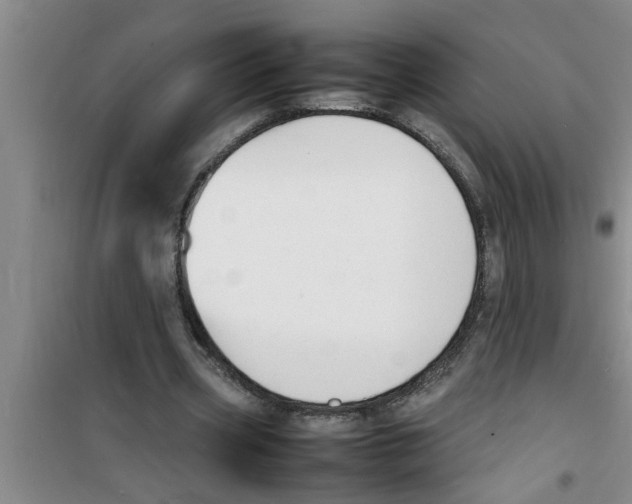 X0000100980533200807221235