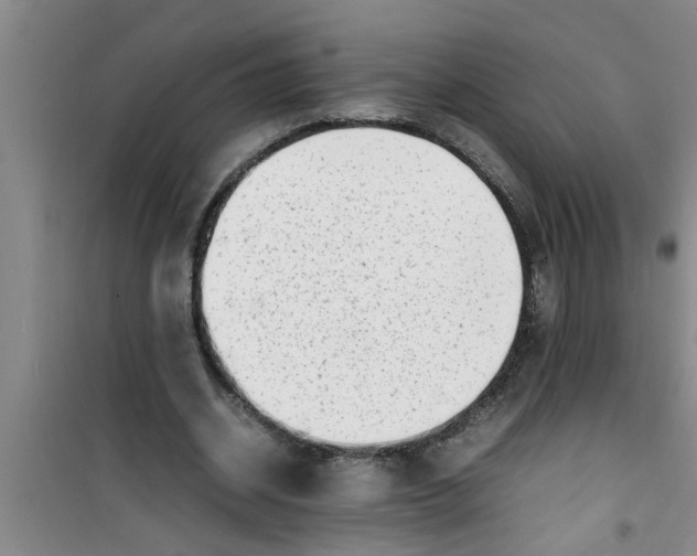 X0000100980534200807221235