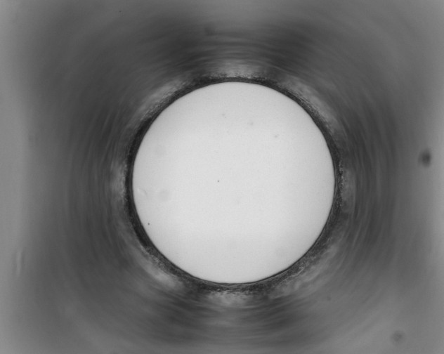 X0000100980537200807221235