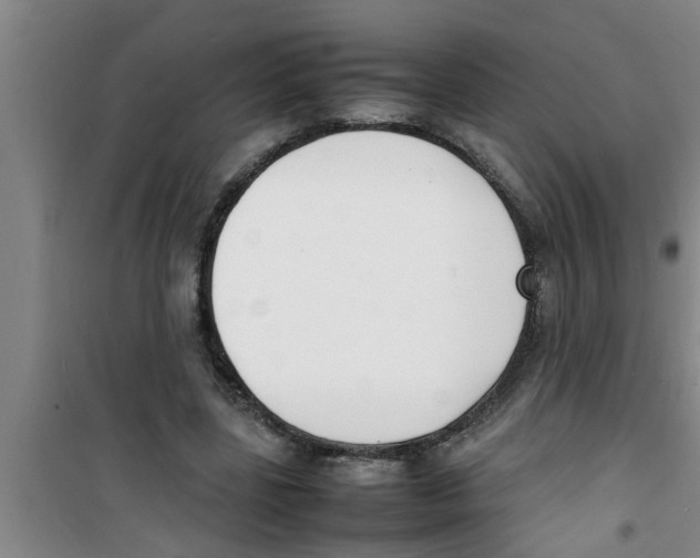 X0000100980539200807221236