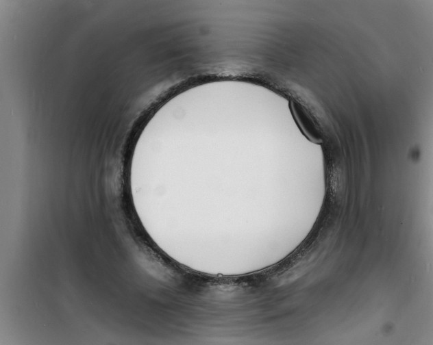 X0000100980540200807221236