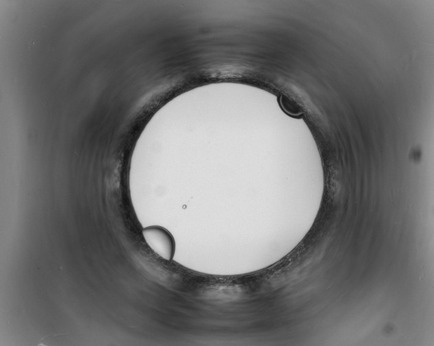 X0000100980543200807221236