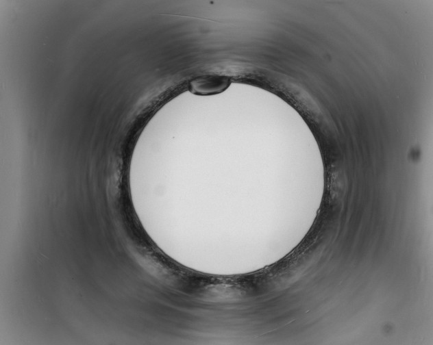 X0000100980544200807221236