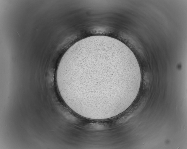 X0000100980545200807221236