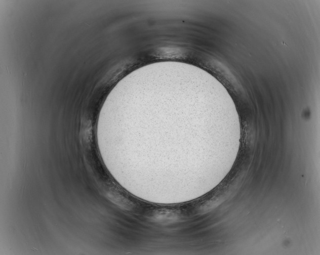 X0000100980549200807221236