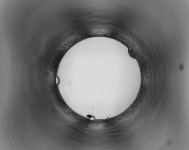 X0000100980551200807221236