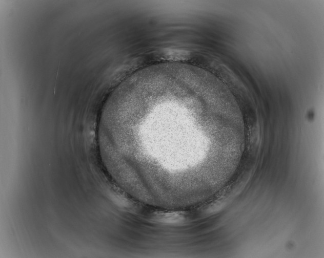 X0000100980553200807221236