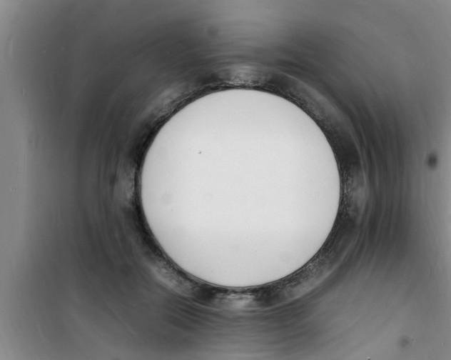 X0000100980554200807221236