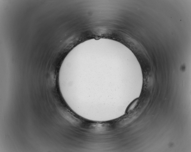 X0000100980558200807221236