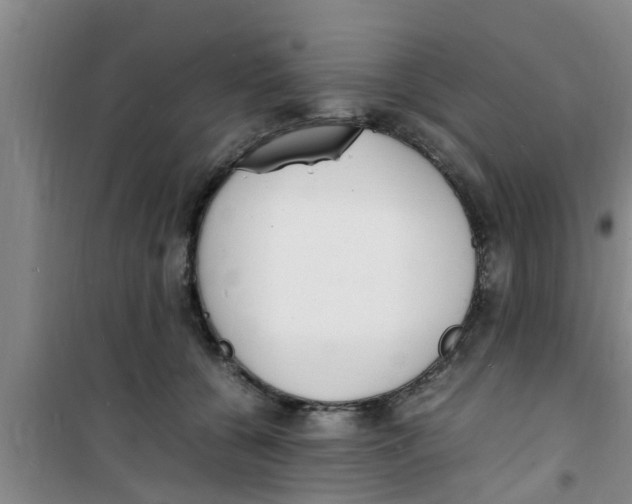 X0000100980560200807221236