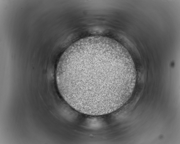 X0000100980561200807221236