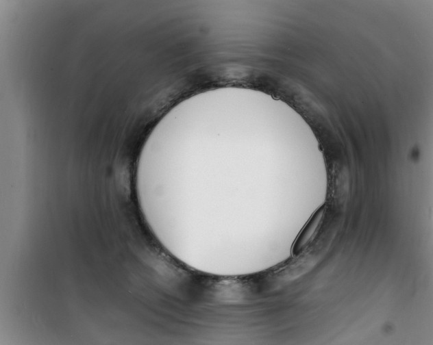 X0000100980562200807221236