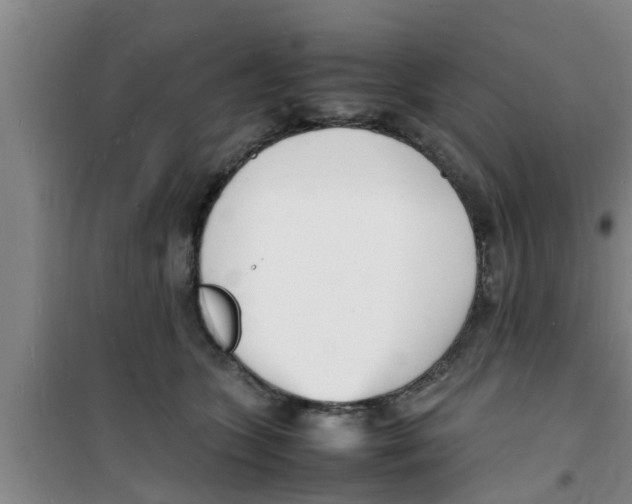 X0000100980563200807221236