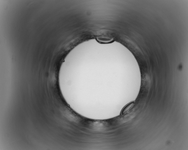 X0000100980566200807221236