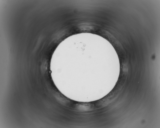 X0000100980567200807221236