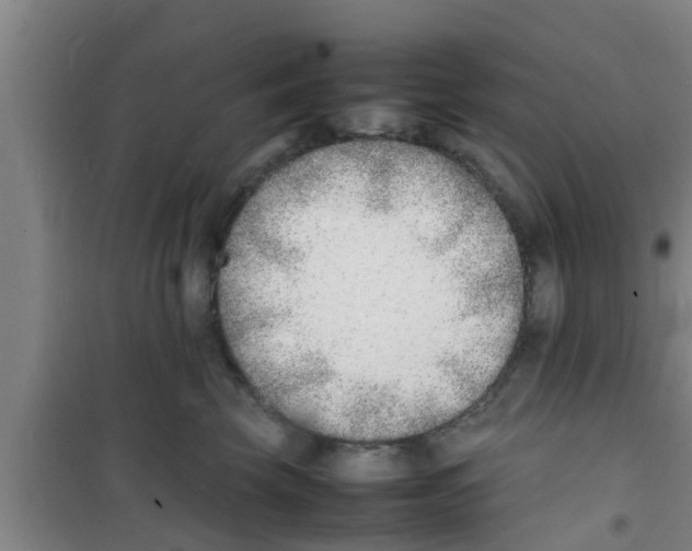 X0000100980569200807221236