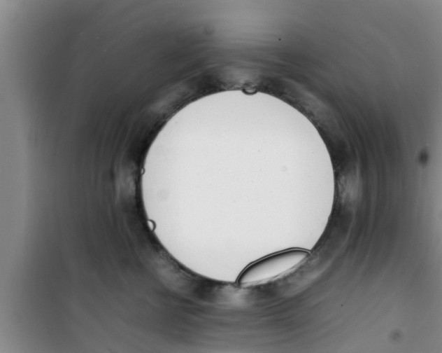 X0000100980570200807221236