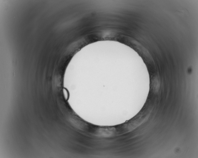 X0000100980571200807221236