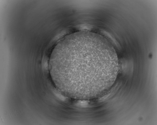 X0000100980573200807221236