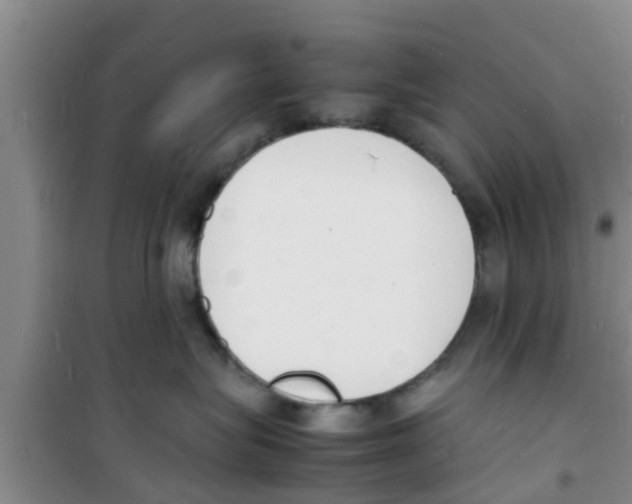 X0000100980575200807221236